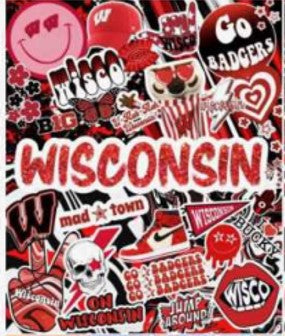 GIFTS | COLLEGE MINKY BLANKET | 50" X 60"