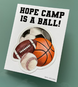 CAMP | FROM HOME SPORTS BALLS STICKER NOTE CARD
